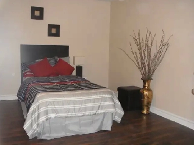 Furnished room in the basement Image# 2