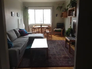 Grand 4 1/2 à louer près de UDM, HEC et Concordia Image# 1