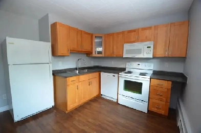 Renovated 1-bedroom downtown - Avail Aug 1 - 114 George Image# 3