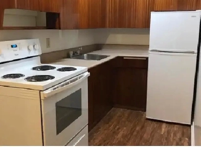ELMWOOD AREA  SMALL 1 BDRM Image# 4