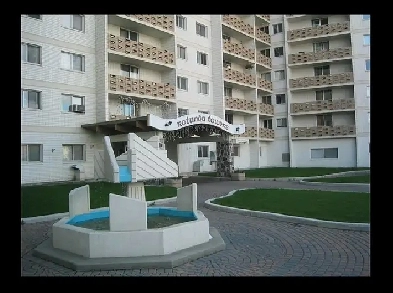 Beautiful Spacious 1 Bedroom Apartment Image# 4
