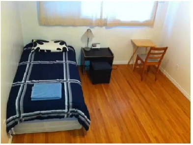 Room For Rent,DowntownArea KingswayMall, RoyalAlex, NAIT, McEwan Image# 5