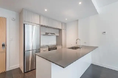 1 bedroom apartment located in the Griffintown area Image# 1