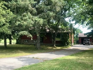 Country Home in Harrowsmith Image# 5