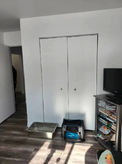 Large renovated 4 1/2 QUIET NEIGHBORHOOD Image# 3