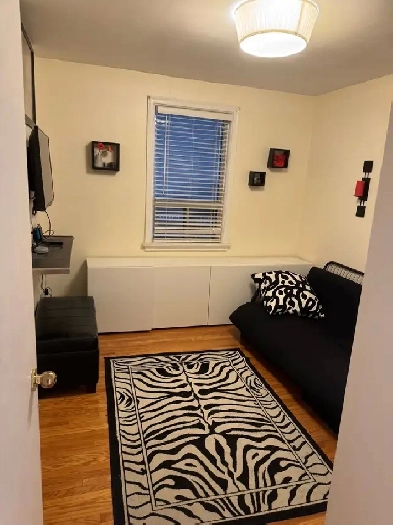 Fresh 1 futon bdrm & more! Safe Etobicoke neighborhd Image# 6