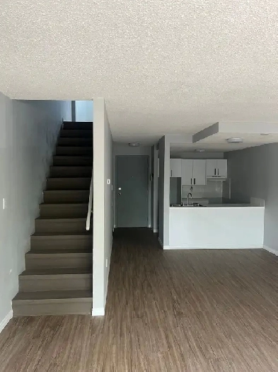 Newly Renovated One Bedroom Suites Available! Image# 4