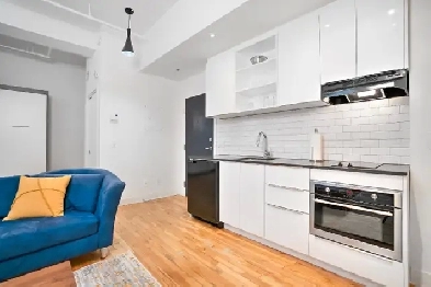 Plateau Mont-Royal Studio Image# 8