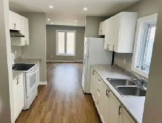 Spacious 1-Bedroom, 1-Bath ready to move-in! Image# 3