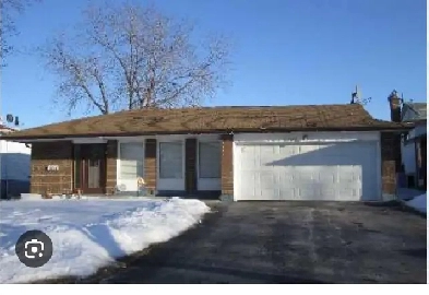 Basement for rent Image# 1