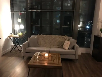 3.5 (1 bedroom) Downtown Montreal for Lease Transfer or Sublet Image# 3