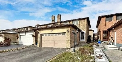 Sharing Room Available in Markham for a Girl in Basement Image# 1