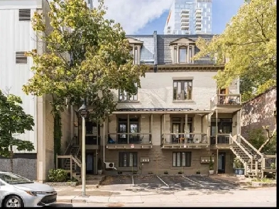 DOWNTOWN - LARGE, GORGEOUS, 1 B/R FULLY FURNISHED Image# 2