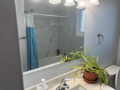 room for rent Image# 4