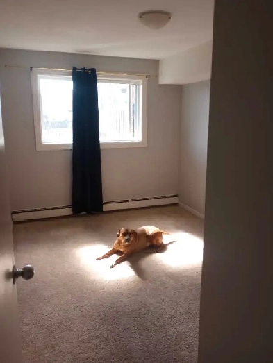 Spare bedroom for rent in Highfield Park Image# 3