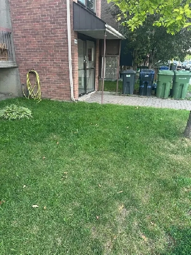 LOGEMENT 3 1/2 à LOUER Image# 1