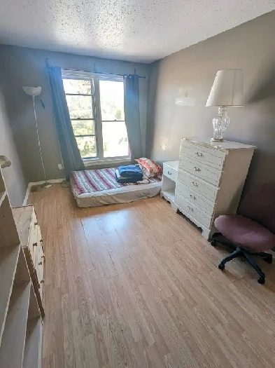 Move in today! Woodroffe/Majestic, 4 min to Algonquin. Image# 4