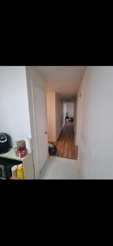 4 1/2 Spacious apartment for rent Image# 2