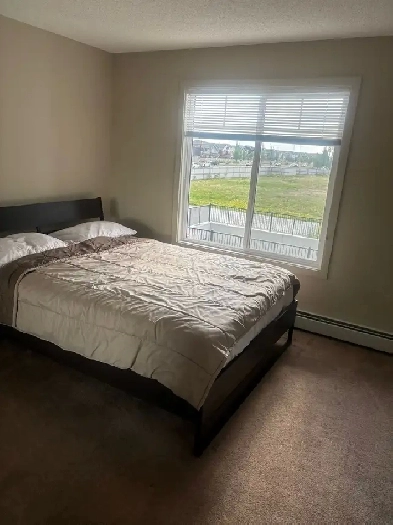 Room available in 2 bedroom apartment (For Female) Image# 5