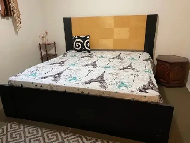 room for rent near UofM Image# 4