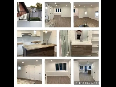 Appartement 3 1/2 à louer Image# 6