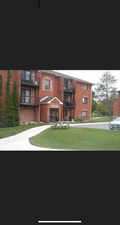 2 bedroom apartment Image# 7