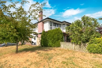 Renovated and well maintained suite for rent in Little Mountain Image# 6