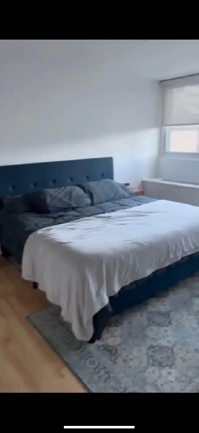 3 bed 2 bath furnishex apartment Image# 1