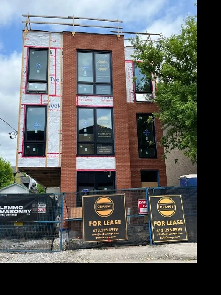 3 Bed | 2 Bath | 1100 sq/ft New Triplex-Hintonburg Image# 11