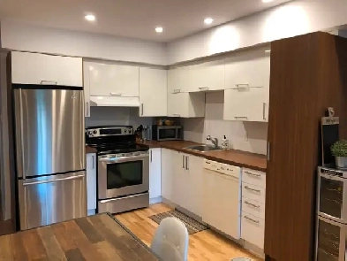 2 logements de 3 1/2 rénové 2017 rue Adam. 1 mois gratuit! Image# 3