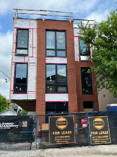 3 Bed | 2 Bath | 1170 sq/ft | Parking in Hintonburg Image# 2
