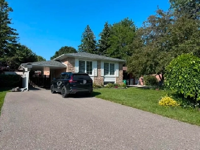 3Bedroom  1Bathrm 1Kitchen 3Parking House Image# 8