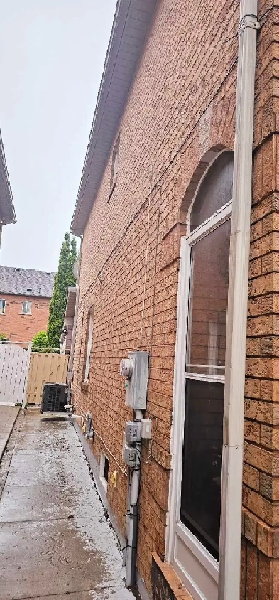 1 Bedroom Basement Image# 1