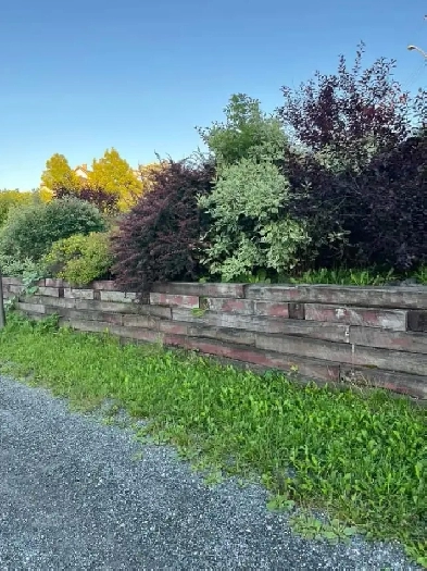 Looking for 3-4 bedroom house/apartment. Image# 1