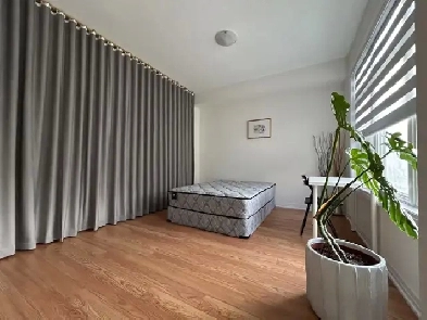 Spacious Room for Rent Image# 4