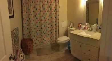 Two bedroom basement apartment for rent Image# 1