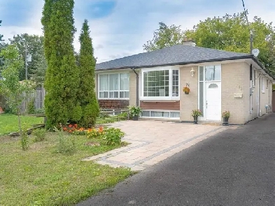 Richmond hill Room for rent in a basement Image# 1