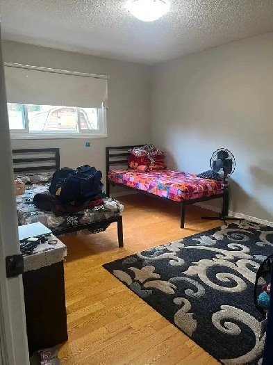 SHARED FEMALE ROOMS FOR RENT BRAMPTON Image# 2