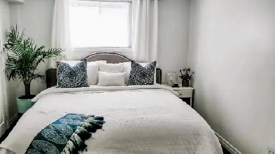 Spacious 1-Bedroom Basement with Parking – Prime Ajax Location Image# 7