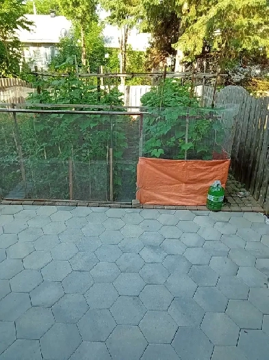 One bedroom near Algonquin College/Centrepoint/416&417—Aug 1 Image# 2