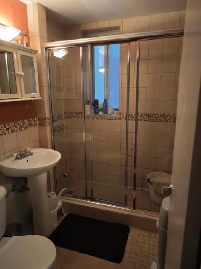Large renovated 3 1/2 NDG (close Monkland Village) for August Image# 5