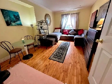 LARGE ROOM  with KITCHENETTE PERFECT FOR OPG or STUDENTS Image# 1