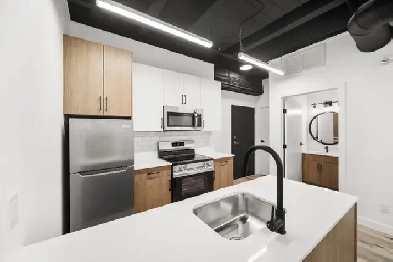 NEW Modern 1 Bedroom Apartment Move In Ready! Image# 2