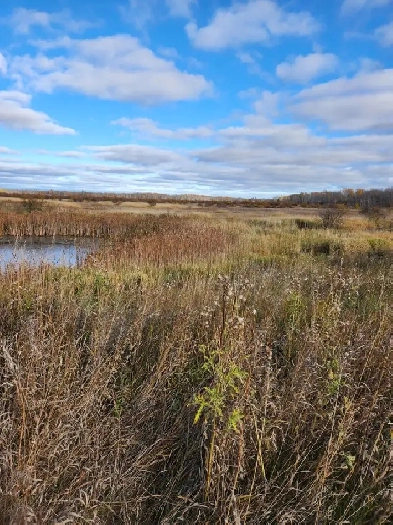 156 acres for sale Image# 2