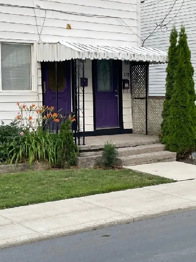 A CLEAN BRIGHT 2B IN WILLIAMSVILLE Image# 2