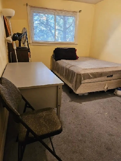 Room for Rent Close To York U, Env.Can, Sanofi Pasteur, UoT Aero Image# 5