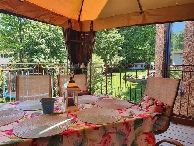 5bedrooms house rent walking distance toronto university Image# 11