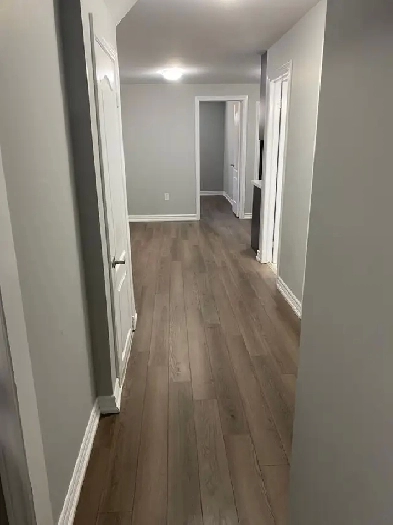 Basement for Rent Image# 1