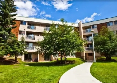 Apartments Now Available To Rent. Image# 1