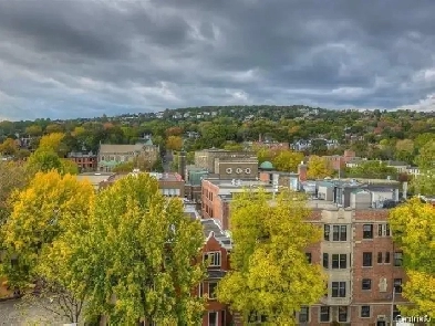 Westmount Furnished Lux Condo-1 bed 1 office, Downtown Montreal Image# 1